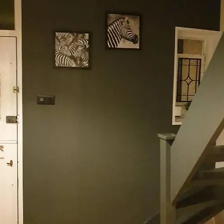 Have A Stay! - Нордвейк-ан-Зее